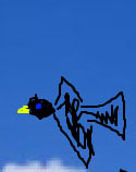 Birdy