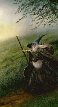 Pain of Campaigning - Gandalf’s Journey